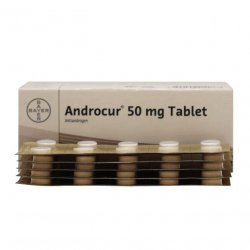 Андрокур (Ципротерон) таблетки 50мг №50 в Новосибирске и области фото